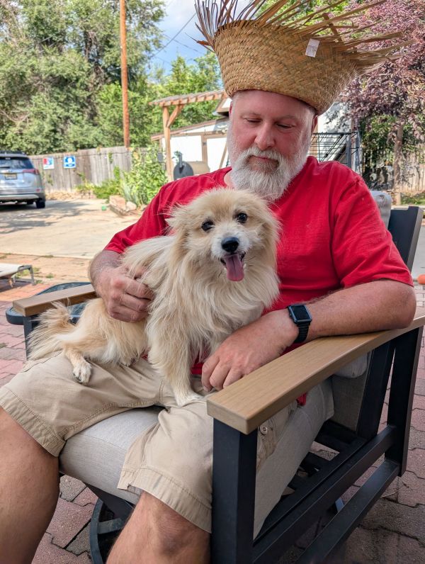 Roary Lion thumbnail 2