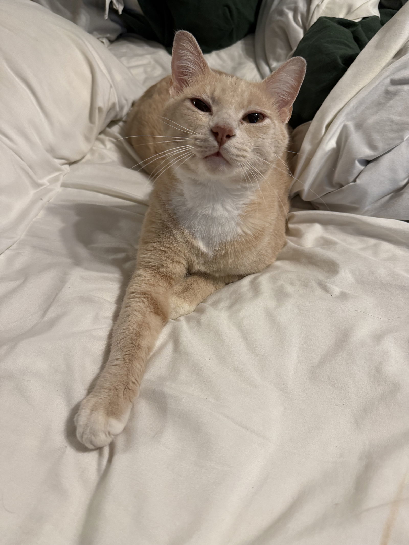 Samson
