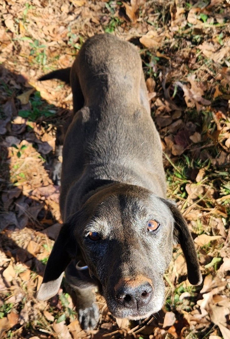 Tucker