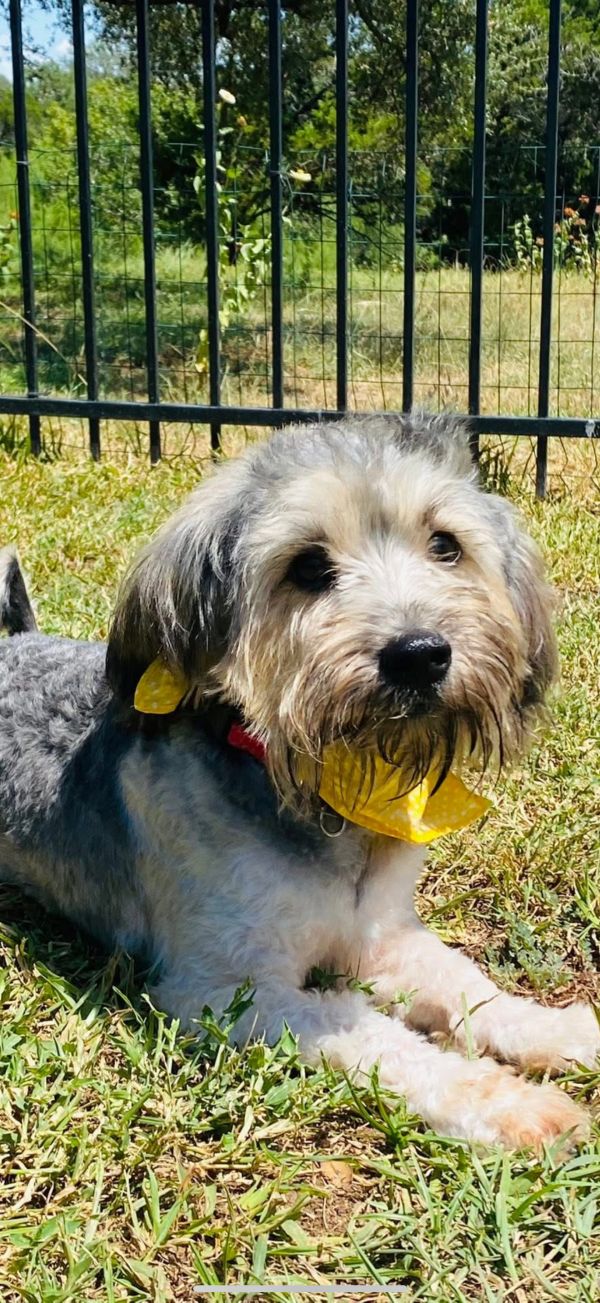 Fergus