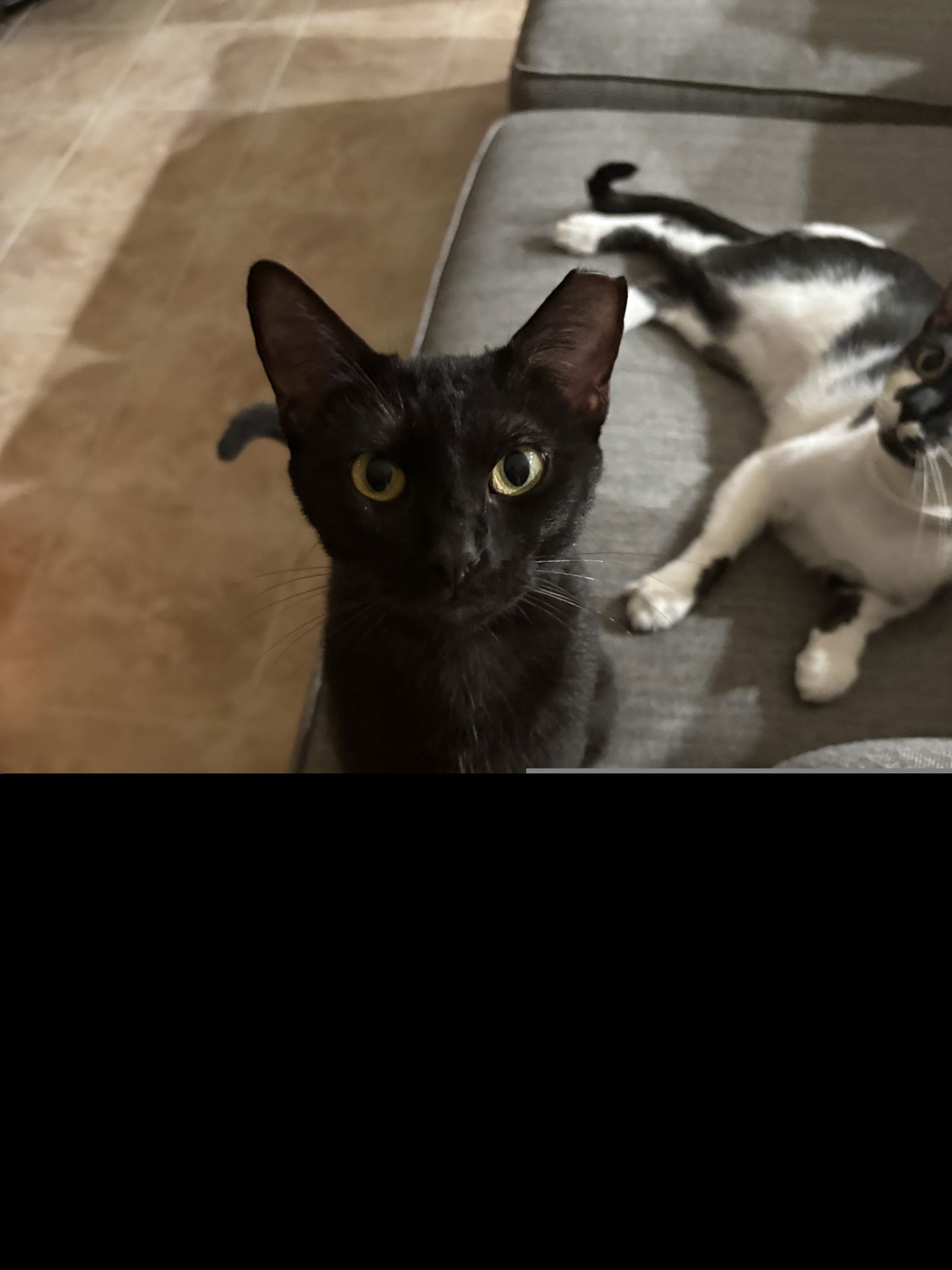 Luna XXXII (New Digs)