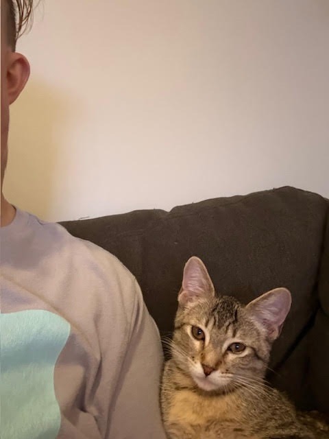 Libby