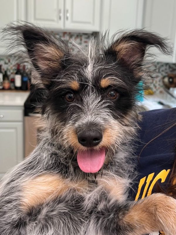 Buster