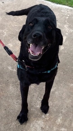 Ellie