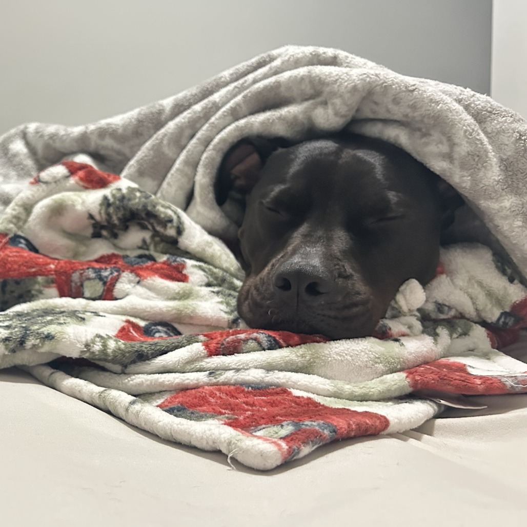 Rosco