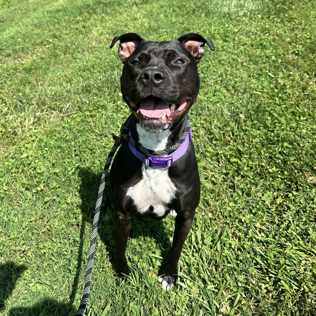Rosco