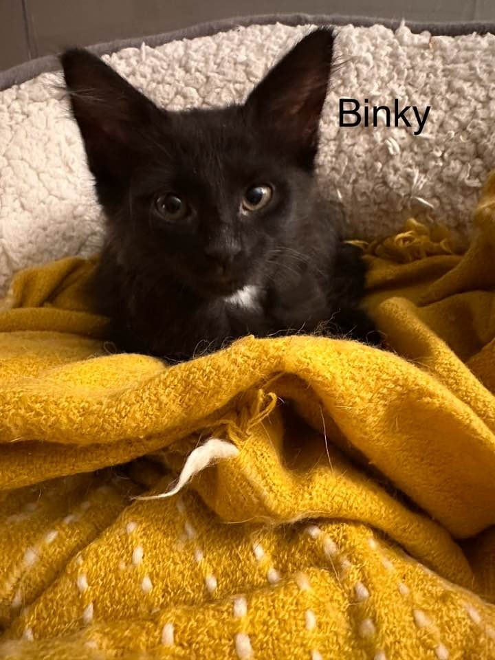 Binky