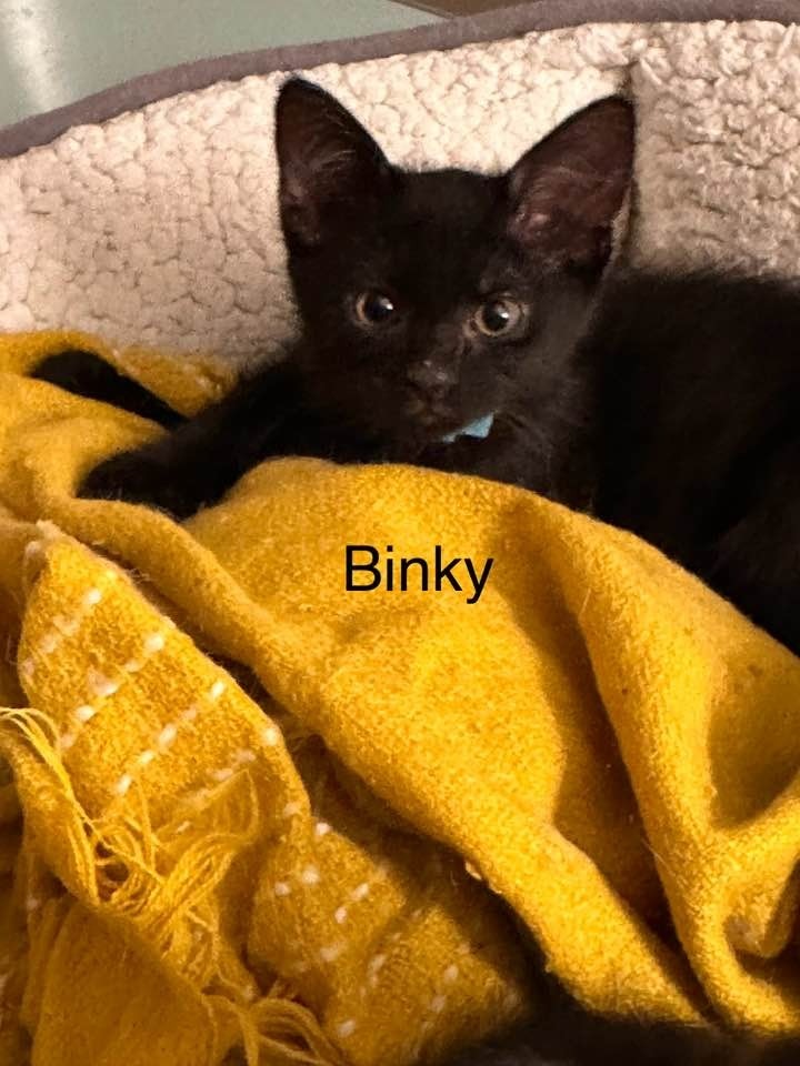 Binky