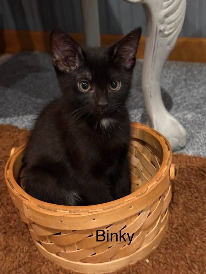 Binky