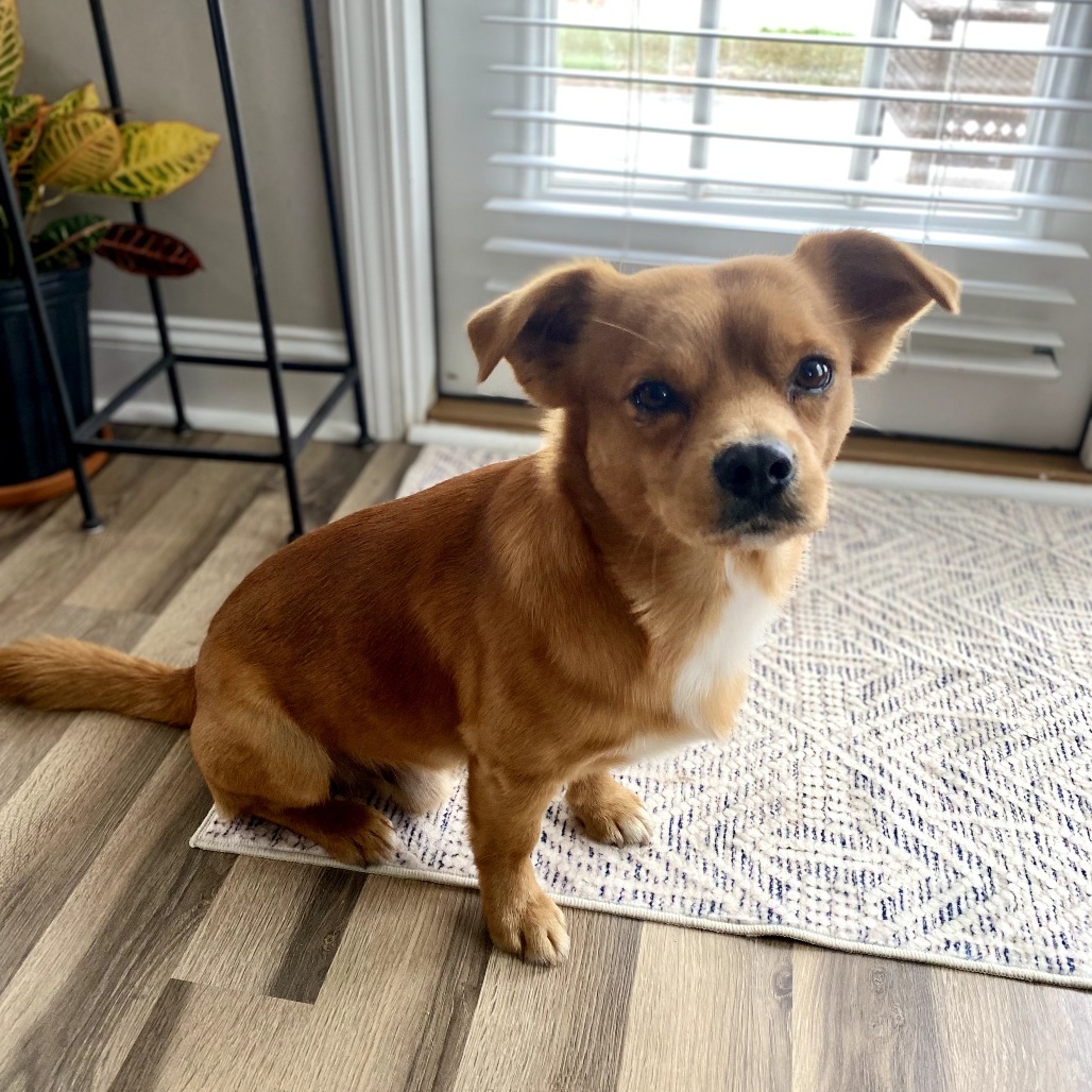 Jolly aka Frankie