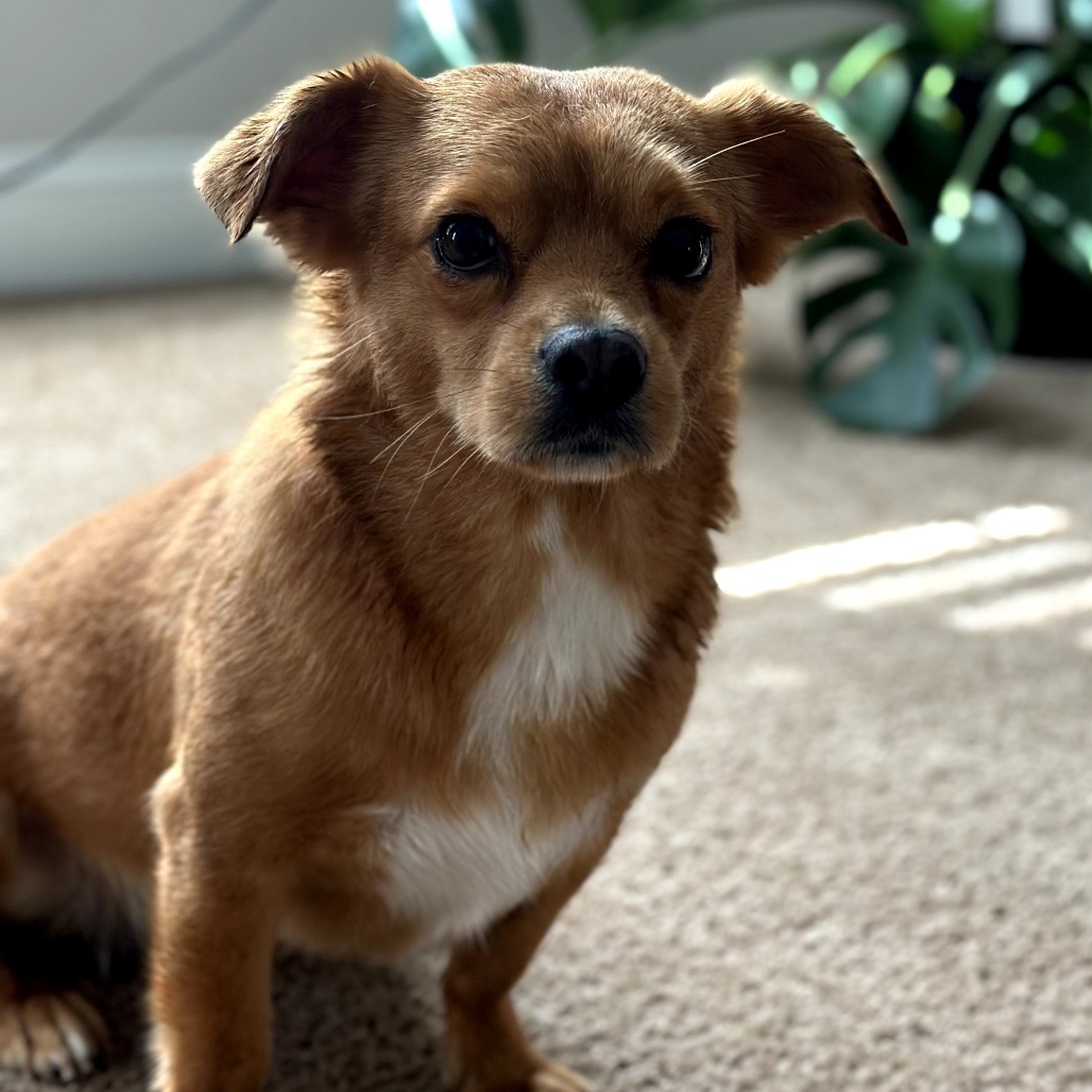 Jolly aka Frankie