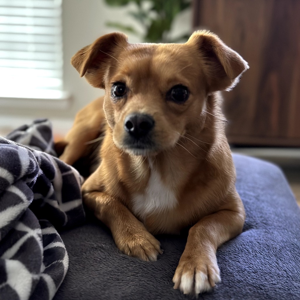 Jolly aka Frankie