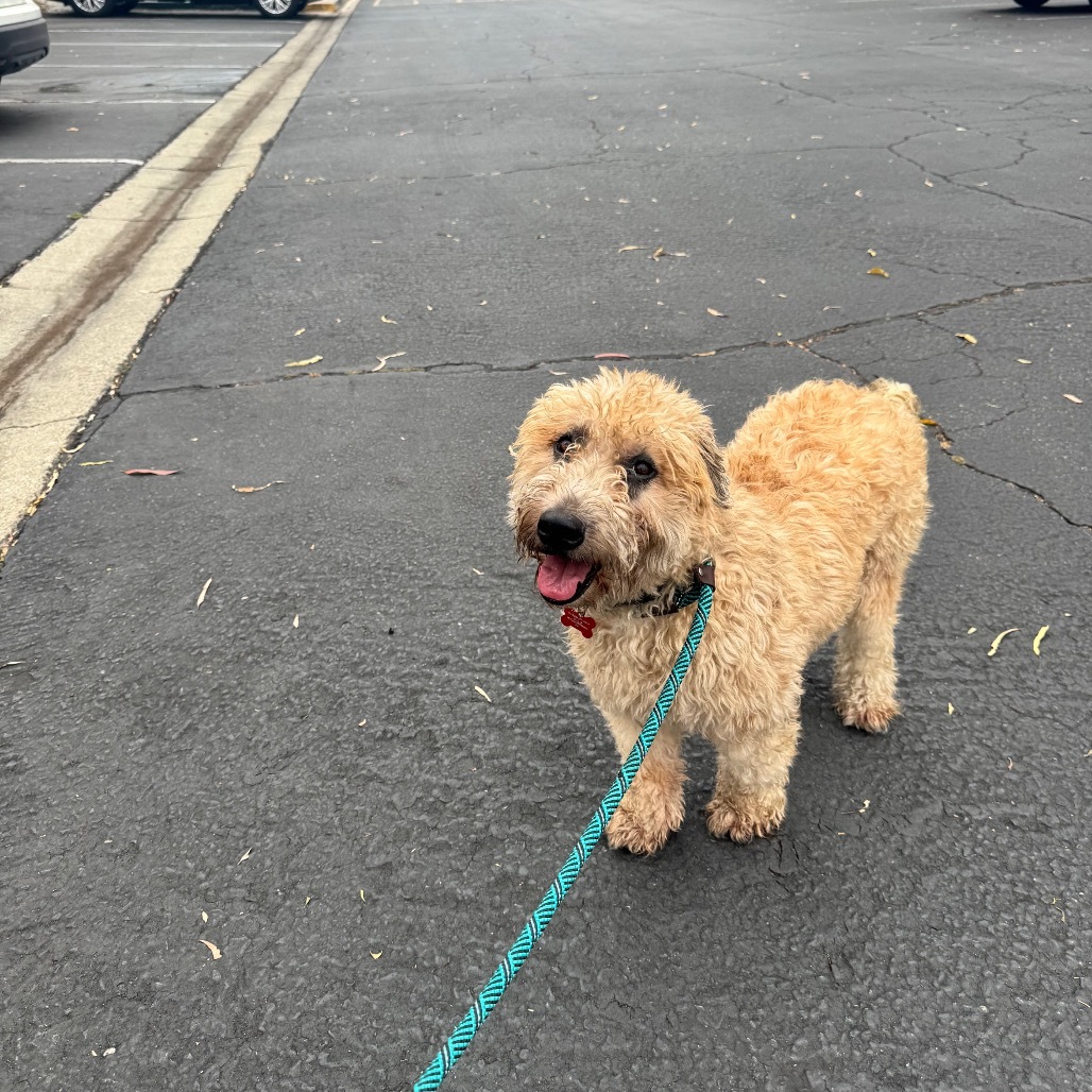 Duke C000-558 - Claremont Location