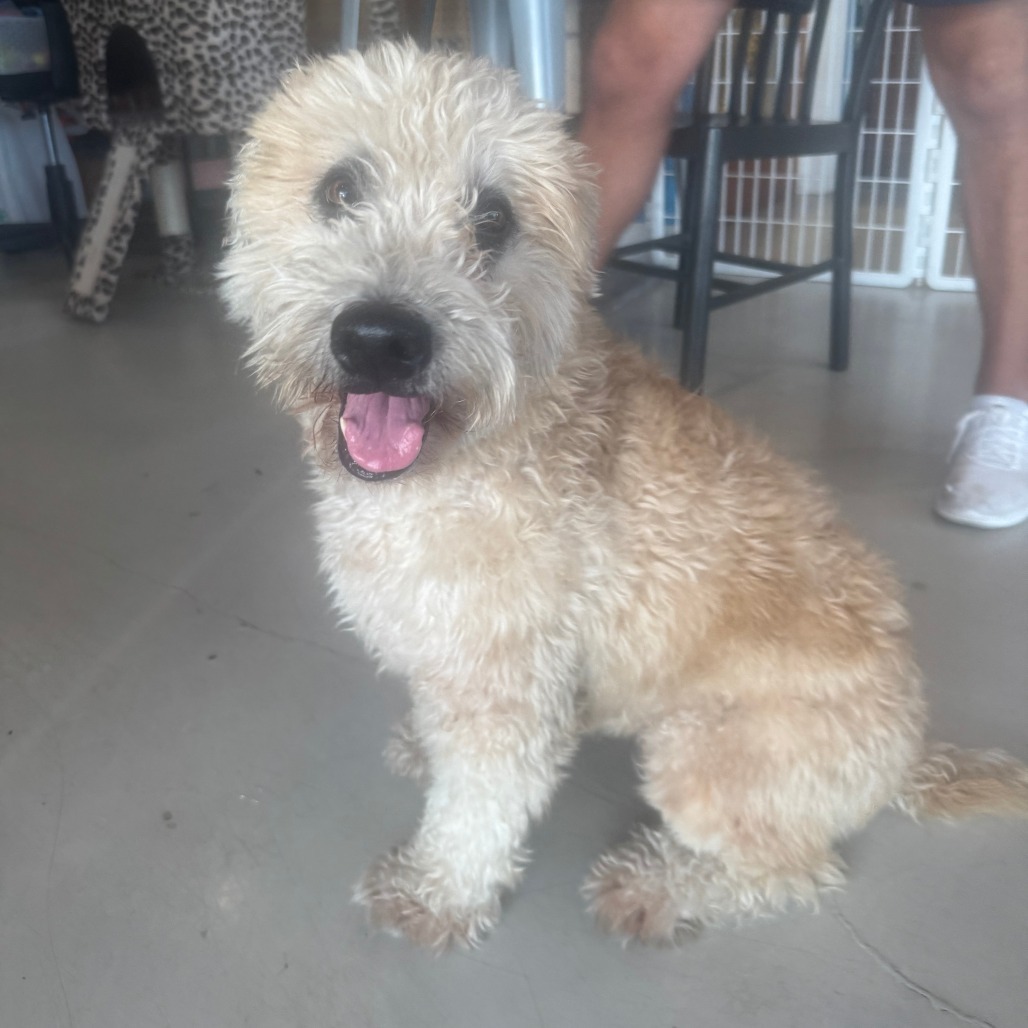 Duke C000-558 - Claremont Location