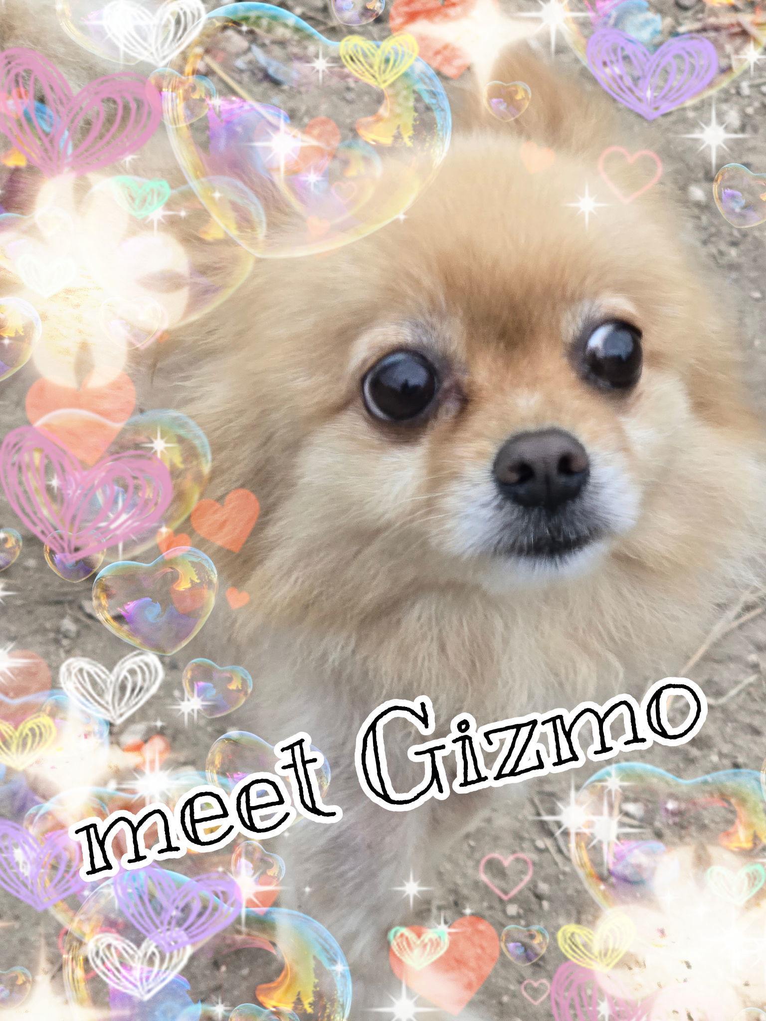 Gizmo