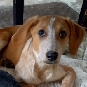 Ruby