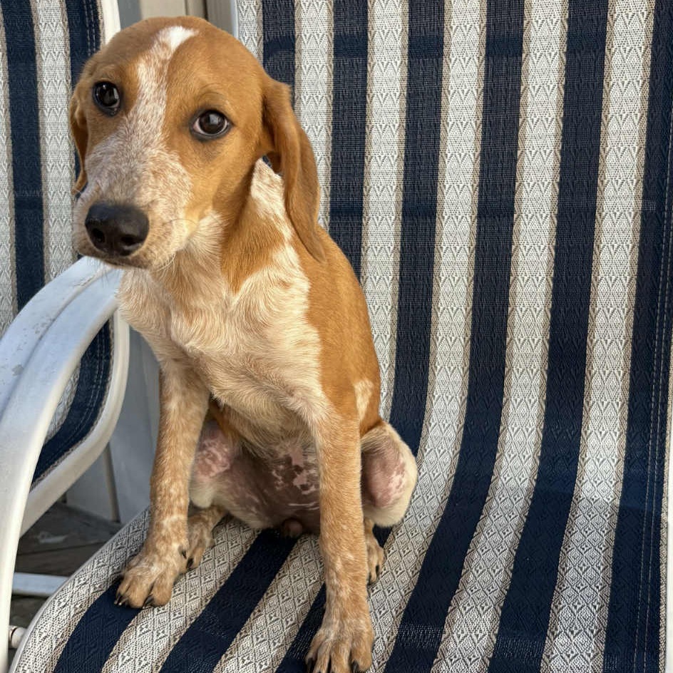 Ruby