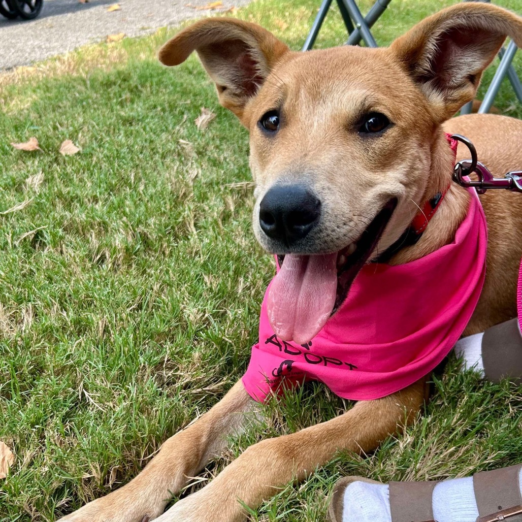 Coco