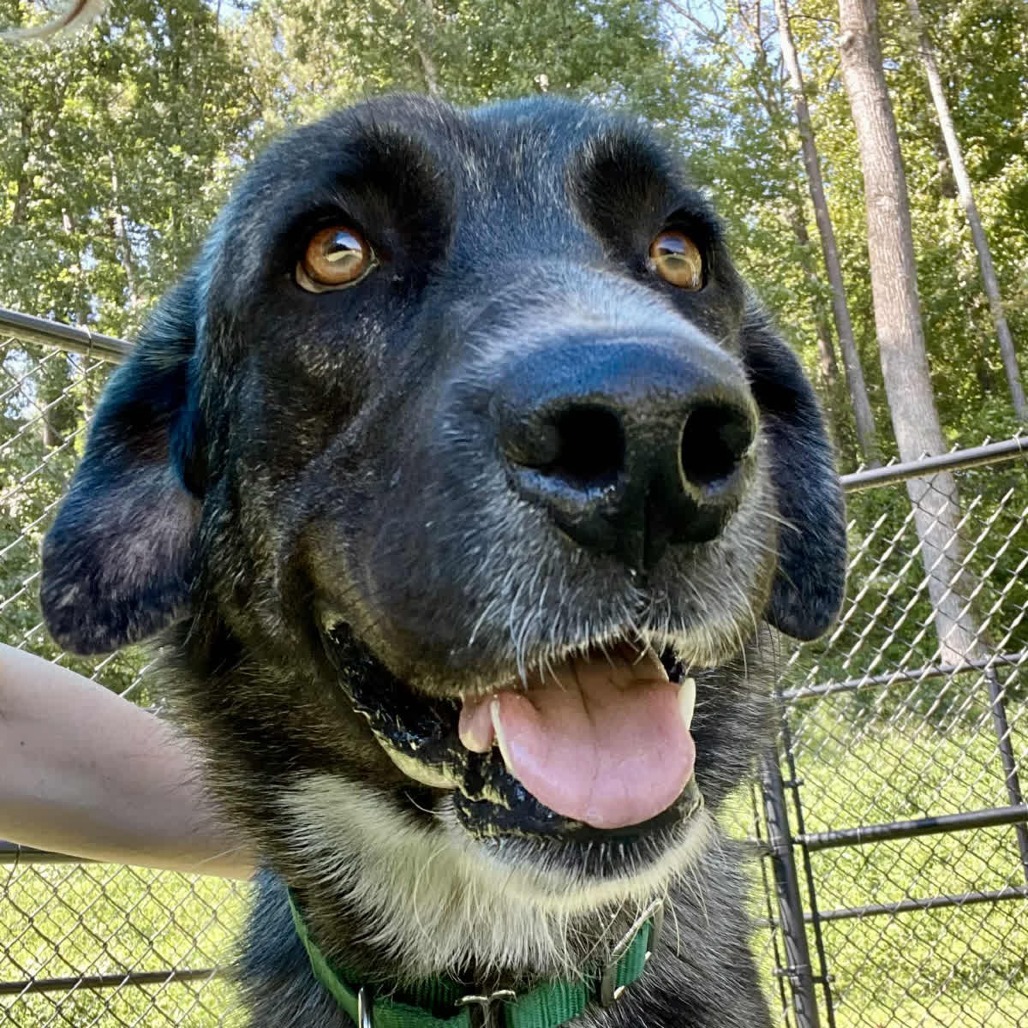 HERA