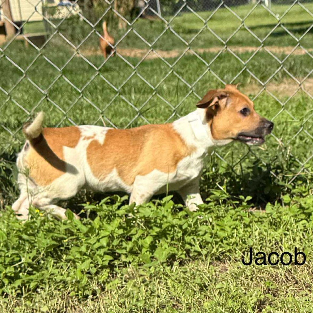 Jacob
