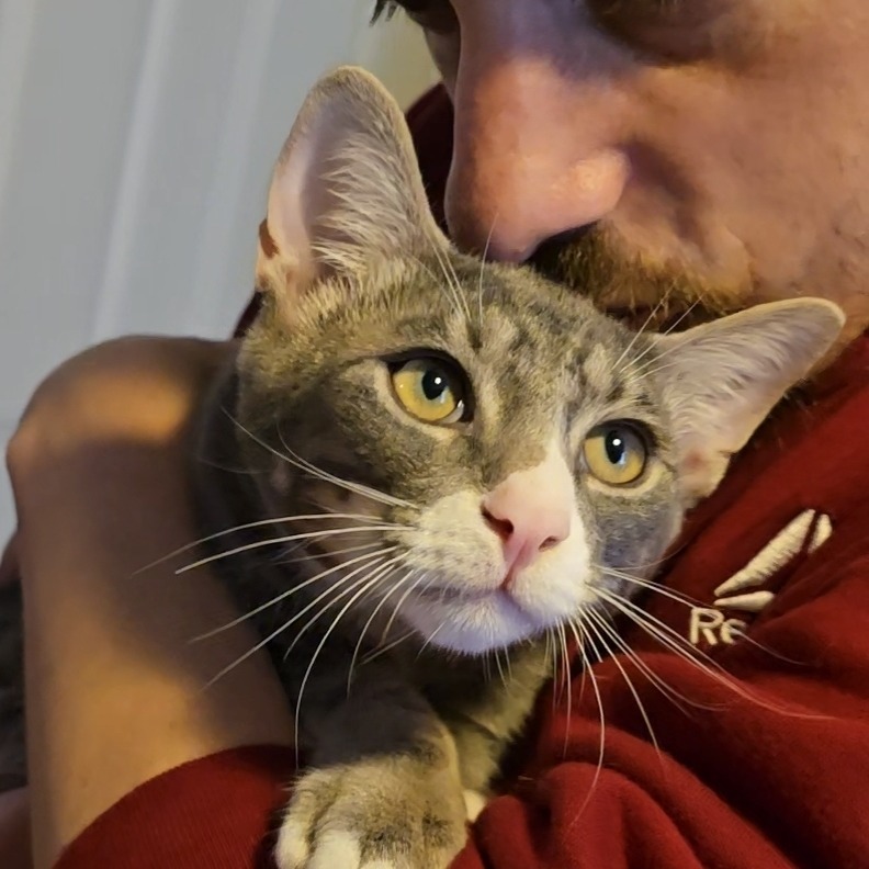 Dilbert (paired with Gizmo)