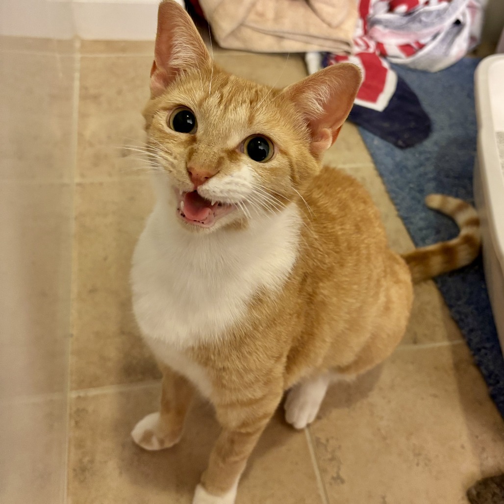 Mama Skippy