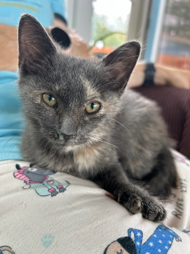 Suki 25'