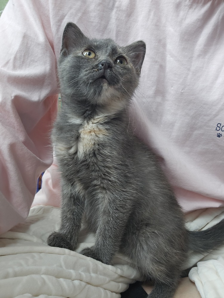 Suki 25'