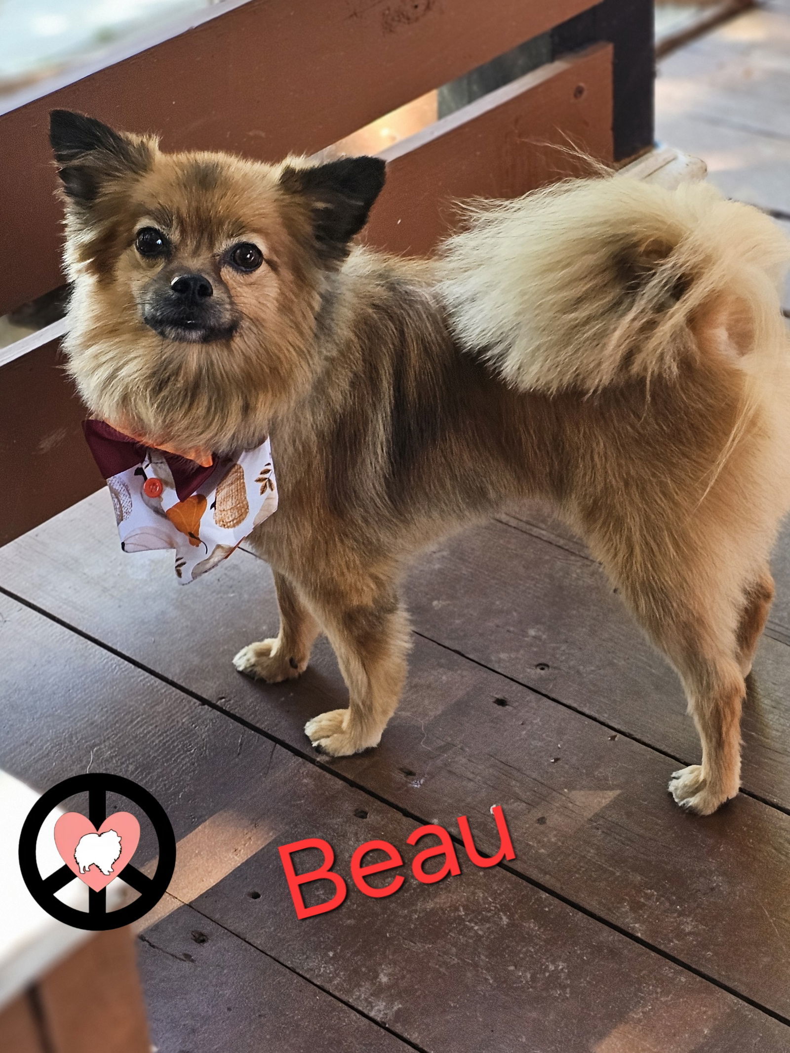 Beau