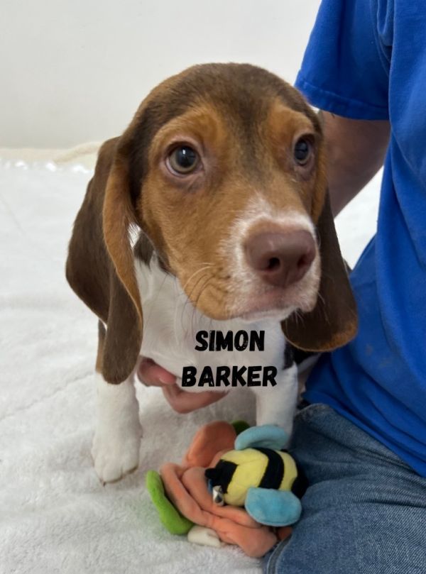Simon Barker