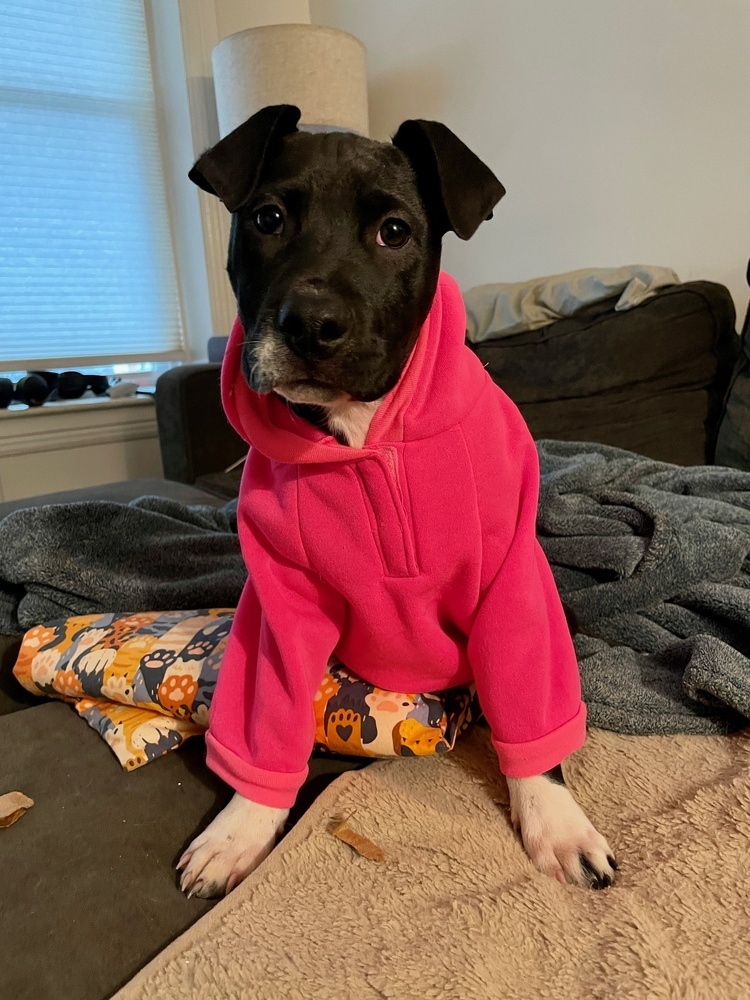 Ripley fka Panera - Fast Food litter