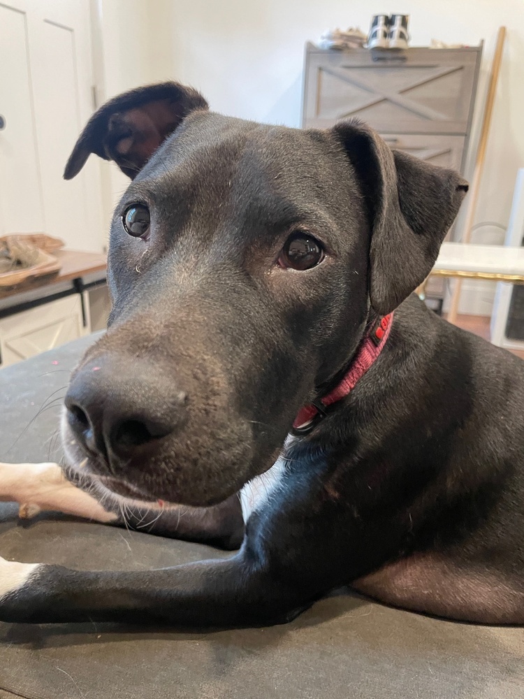 Ripley fka Panera - Fast Food litter