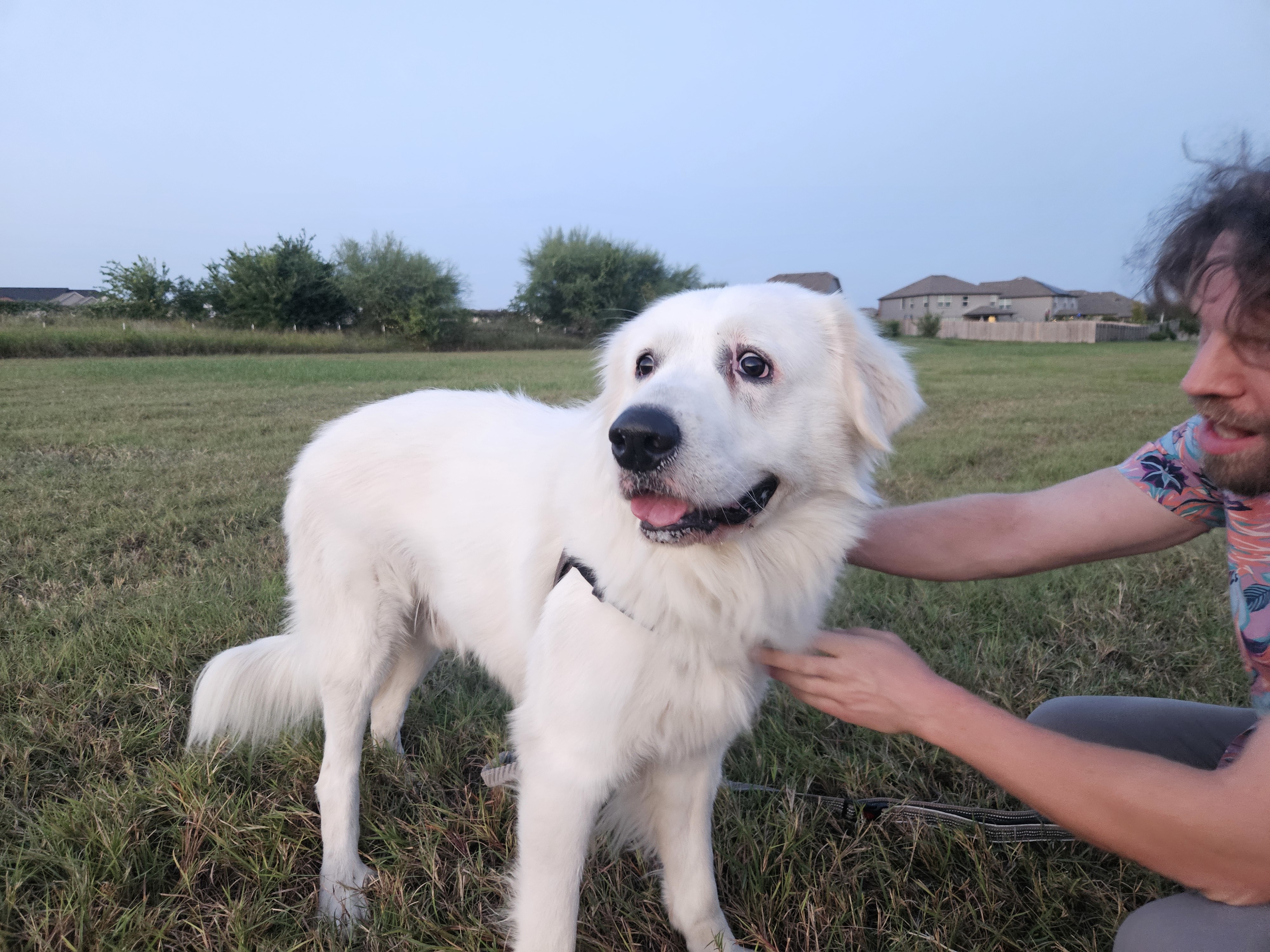 Arlo ATX 9/25