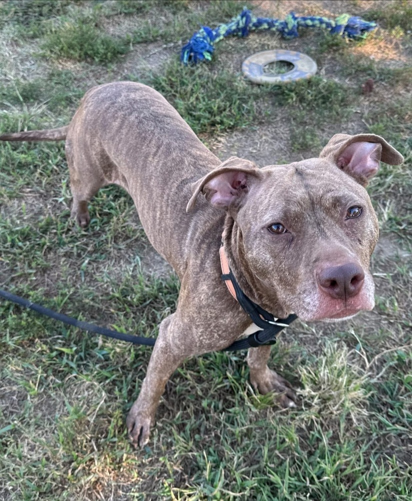 Coco