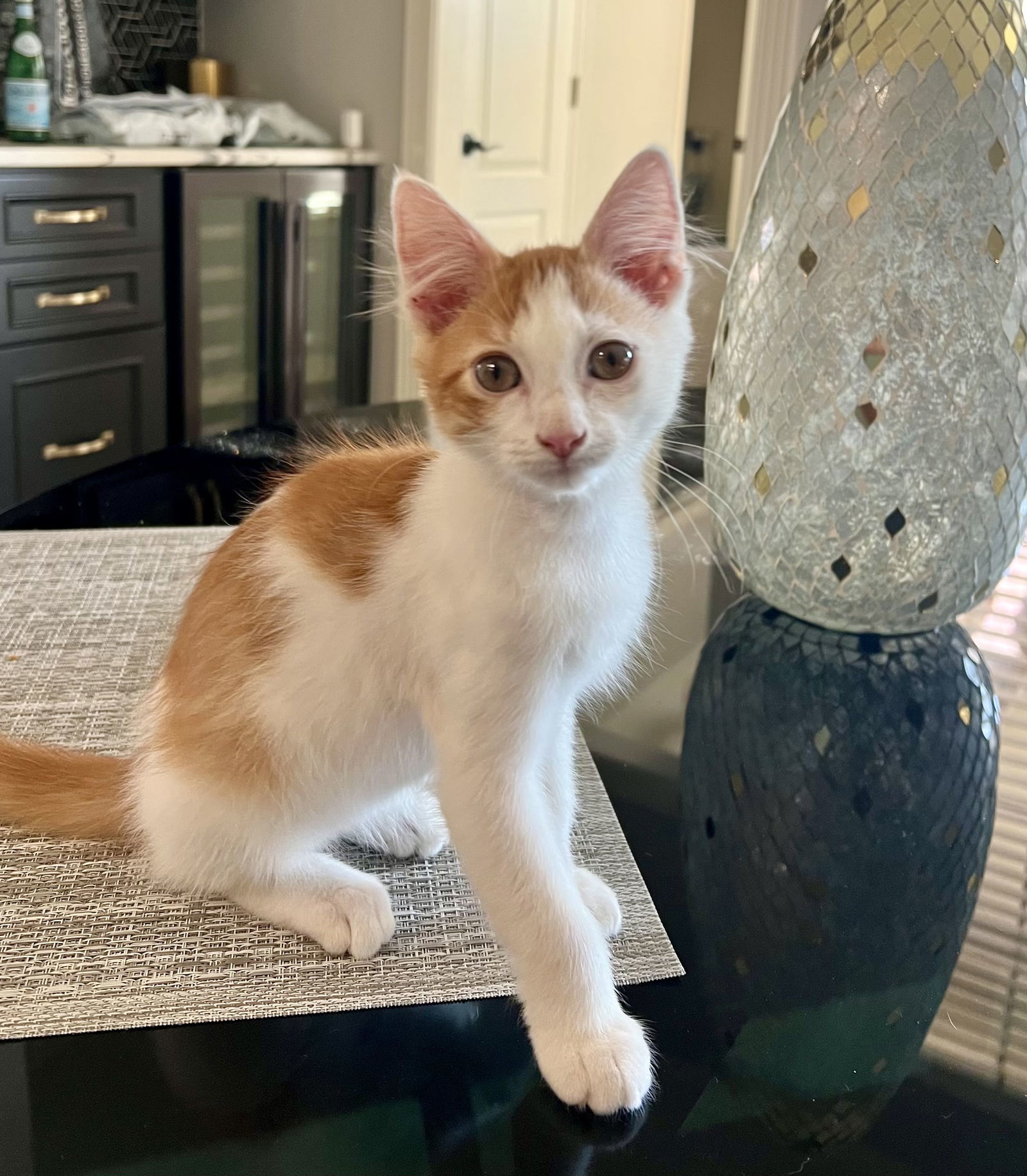 Ozzie