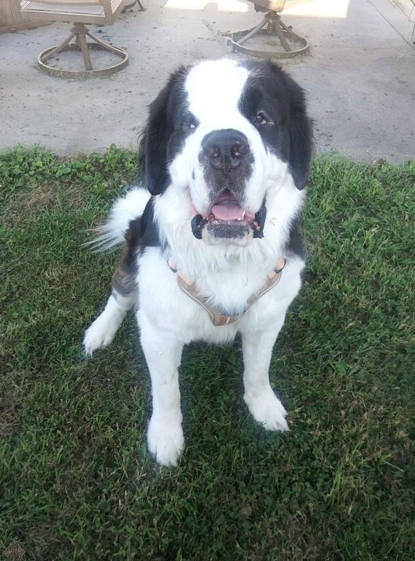 Zeus