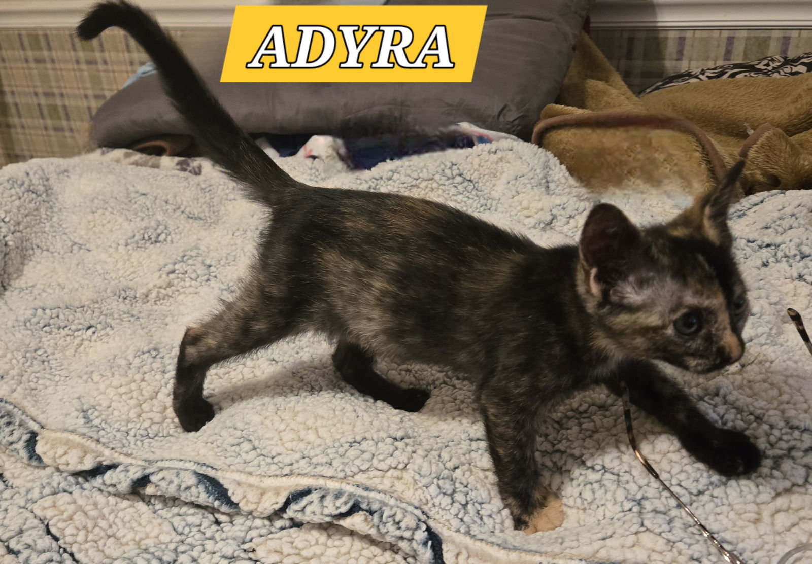 ADYRA