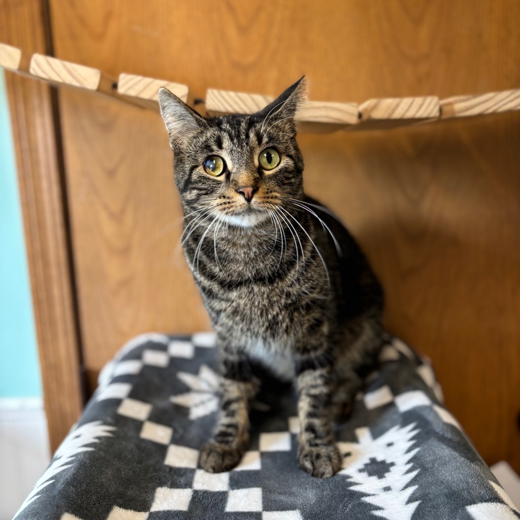 Razzle--In Foster