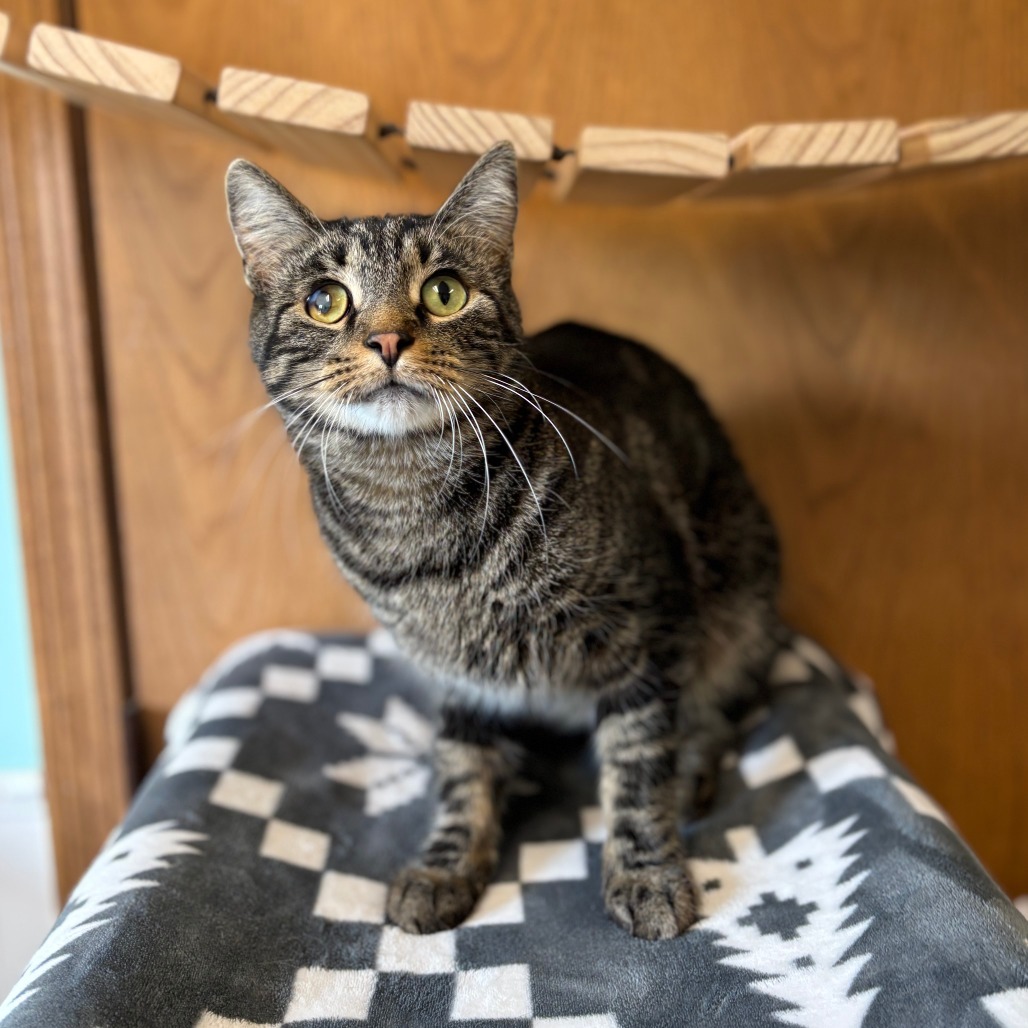 Razzle--In Foster