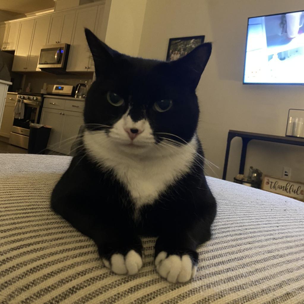 Bubba