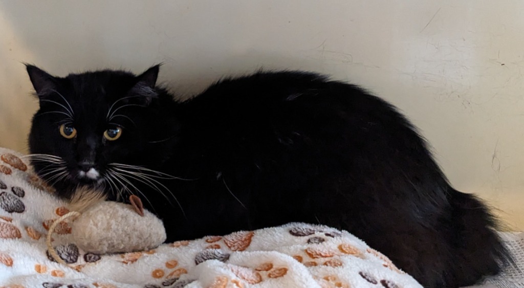 Tux