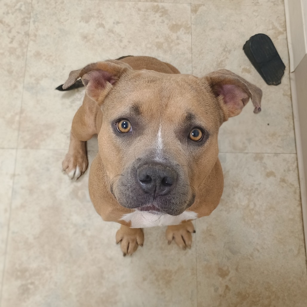 Maggie