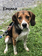 Emma