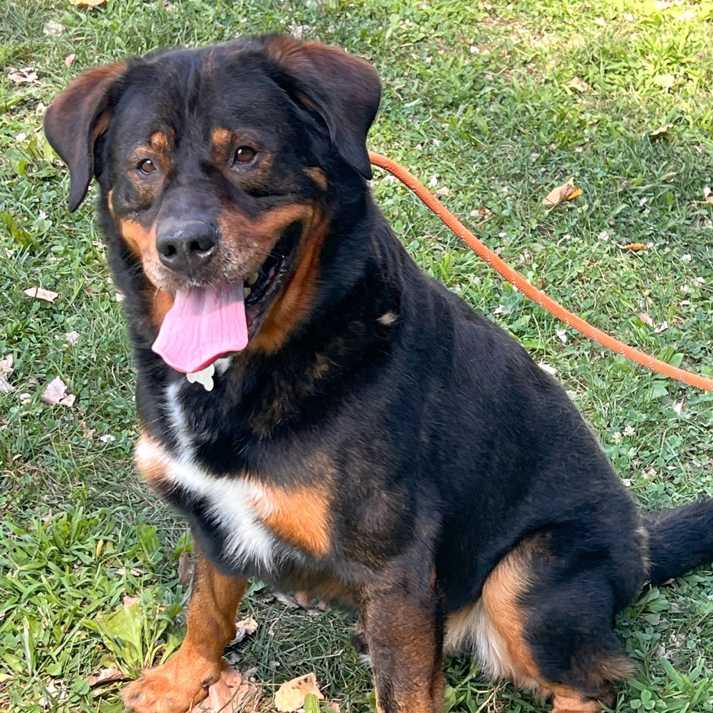 Professor Cosmic Brownie a/k/a Dee-Ojee