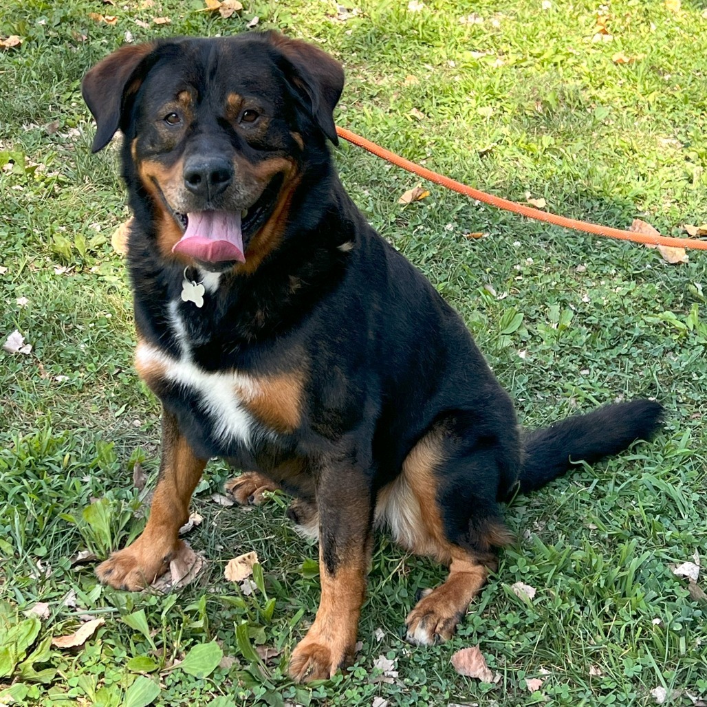 Professor Cosmic Brownie a/k/a Dee-Ojee