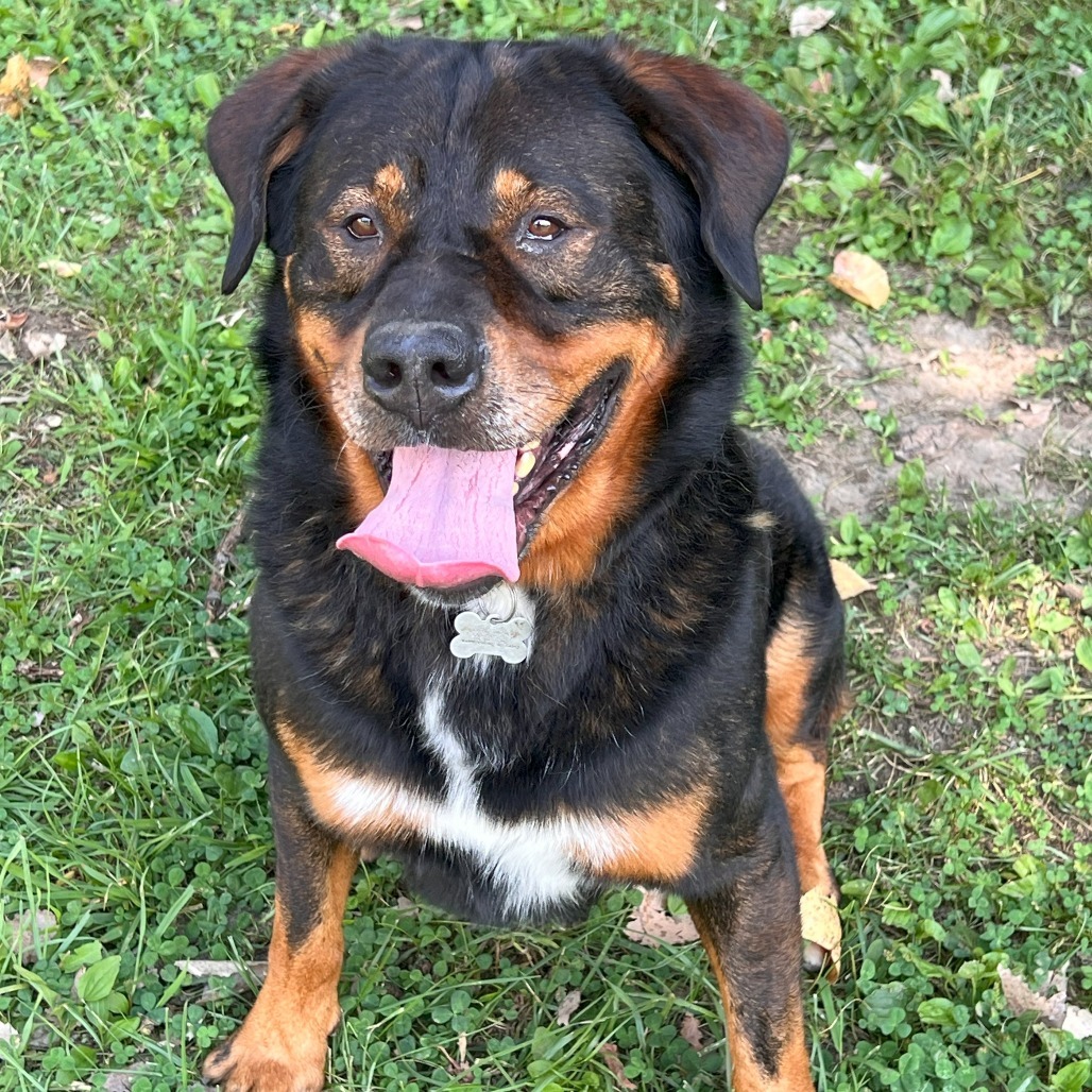 Professor Cosmic Brownie a/k/a Dee-Ojee