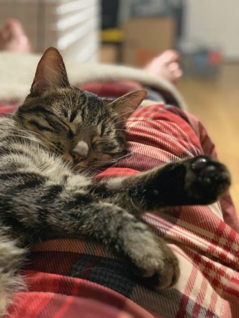 Winnie