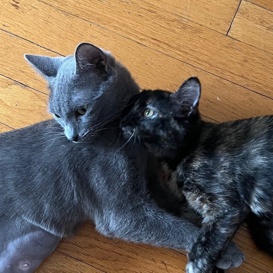 Daffodil & Daisy - We're A Bonded Pair!