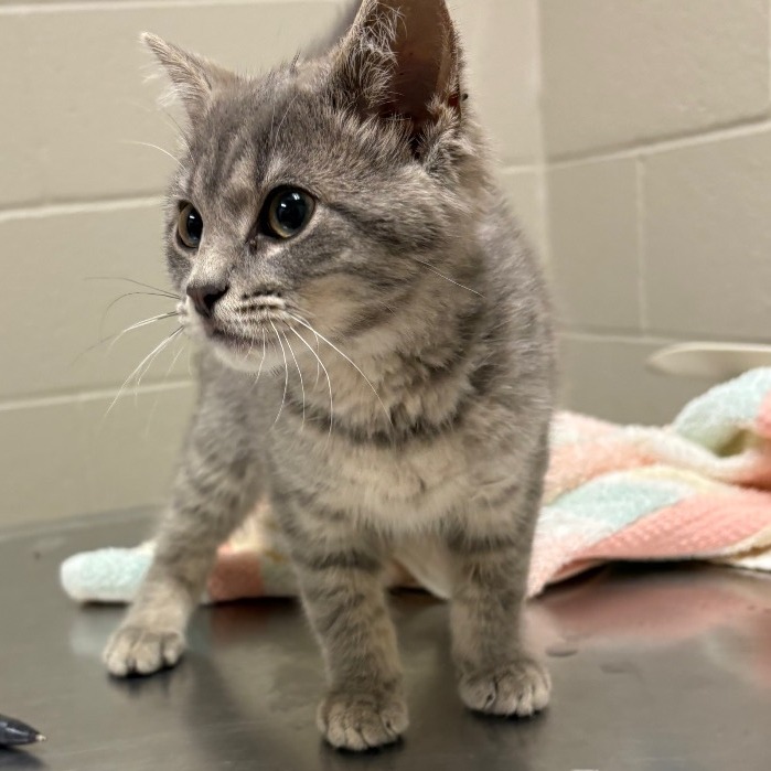 Tati & Flower - We're a bonded pair!