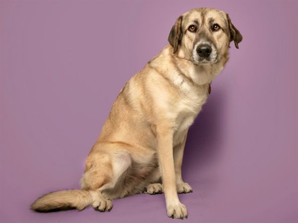 STORMIE